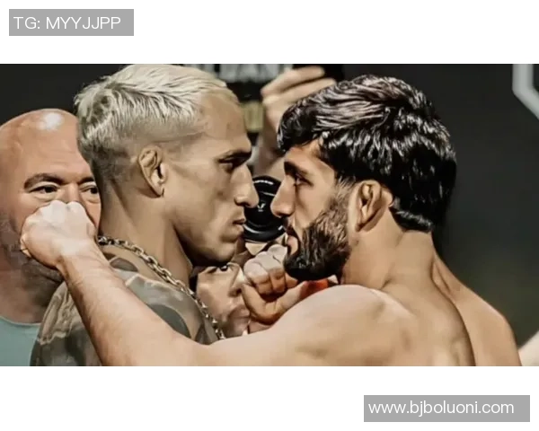 UFC康帅与斗狗的巅峰对决揭示格斗界的新风潮与挑战